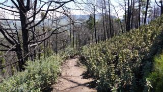 2022-03-GranCan-Mirador_Sargento-Trekking-PM-NN-23.JPG
